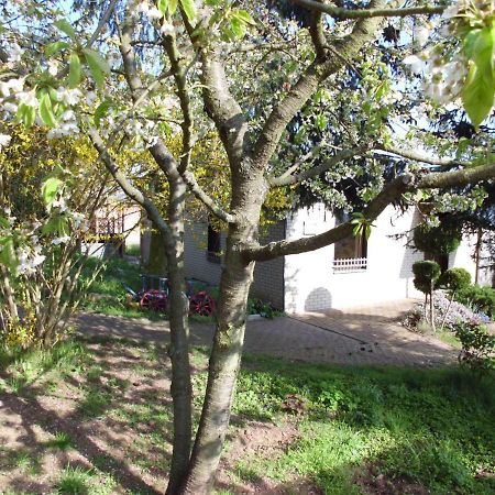 Ferienhaus Santo Villa Nordhausen Eksteriør bilde