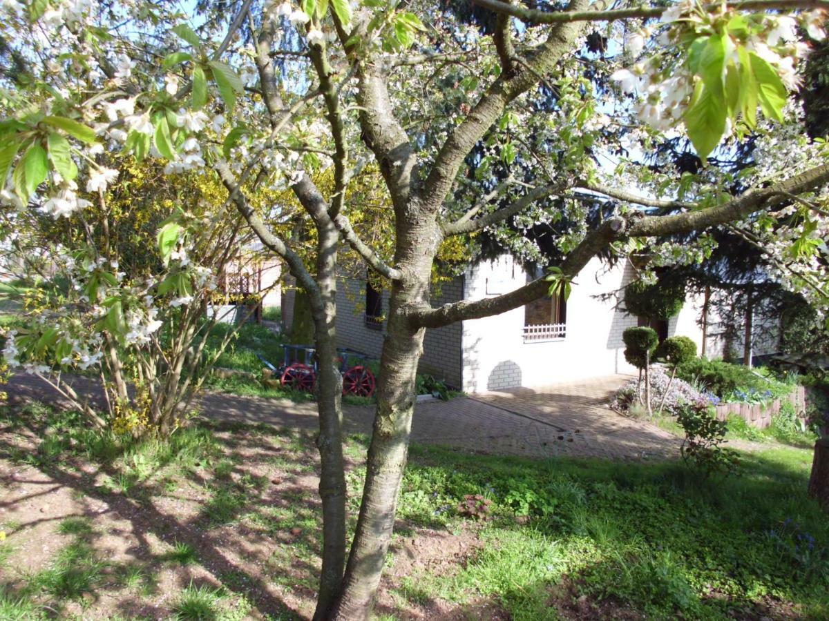 Ferienhaus Santo Villa Nordhausen Eksteriør bilde